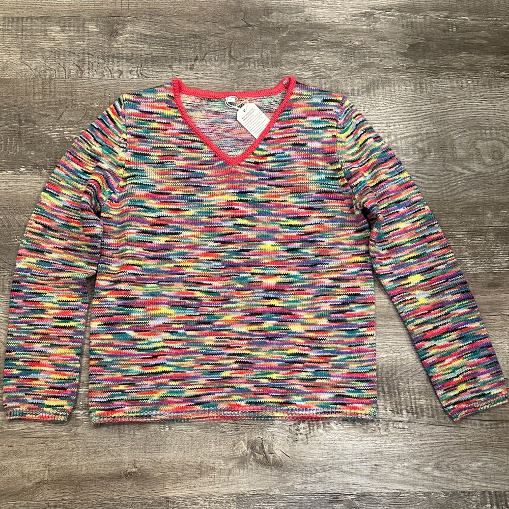 Women's NWT Large Multicolor‎ V Neck Sweater